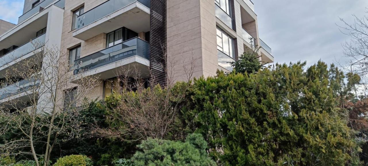 Anvers בוקרשט